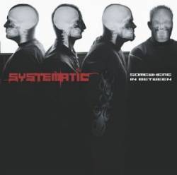Systematic : Somewhere in Between